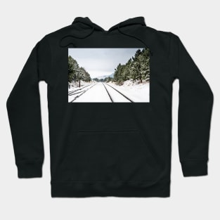 Where will it lead? Hoodie